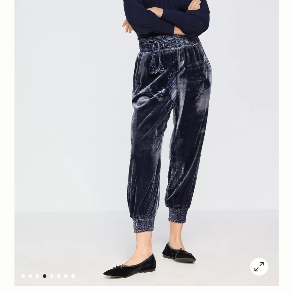 Anthropologie Blue Velvet Joggers